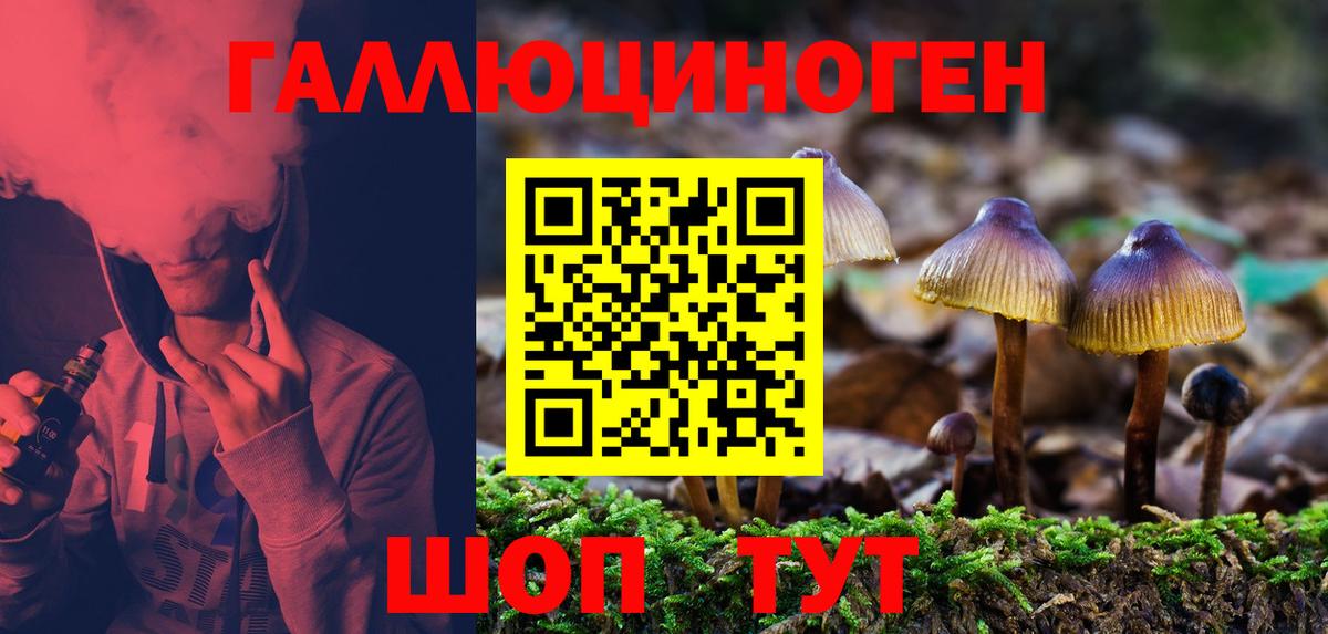Галлюциногенные грибы GOLDEN TEACHER Троицк